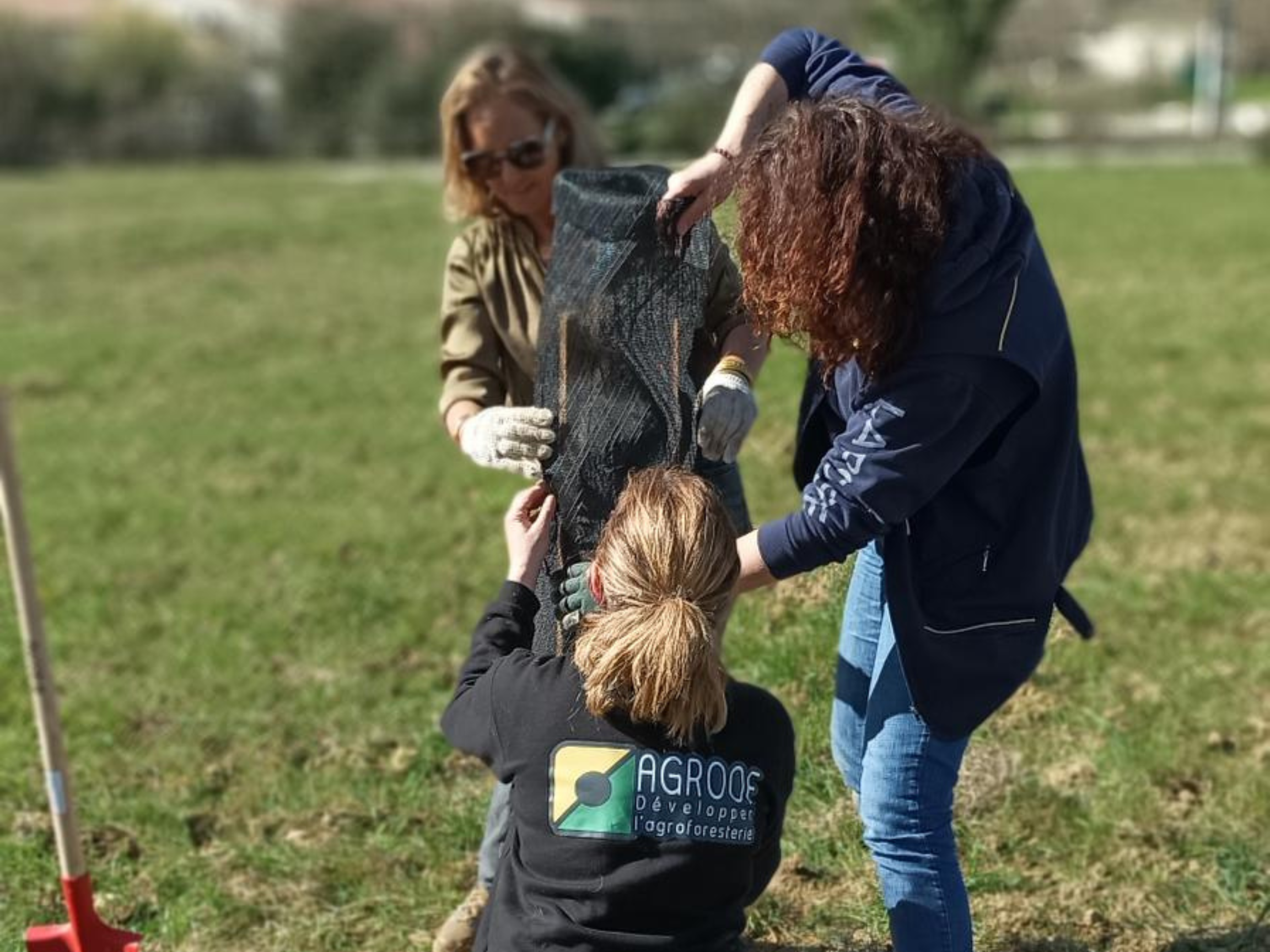 MEDIAPOSTE participe à une plantation agroforestière